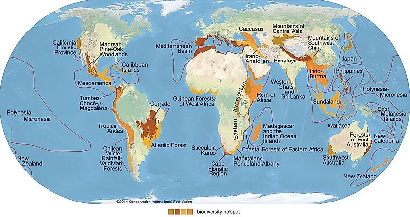 Biodiversity hotspots map