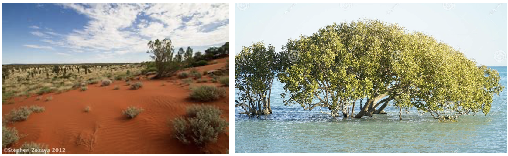 Red sand desert landscape and tidal mangrove flats