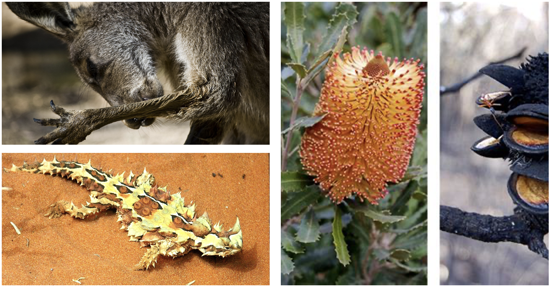 Diagram of homeostasis negative feedback loop showing set point deviation response and return